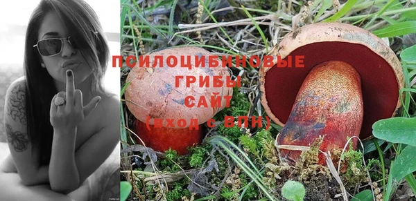Альфа ПВП Абдулино