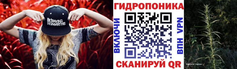 Марихуана планчик Электросталь